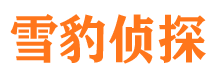 杭锦旗市调查公司